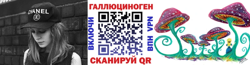 кракен как зайти  Курск  Псилоцибиновые грибы Psilocybine cubensis  как найти закладки 